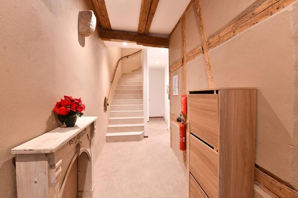 La Vie En Rose - 6p-3br Colmar